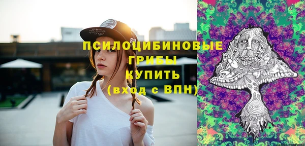 эйфоретик Сатка