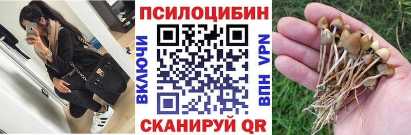 Галлюциногенные грибы GOLDEN TEACHER  shop состав  Вышний Волочёк  купить наркоту 